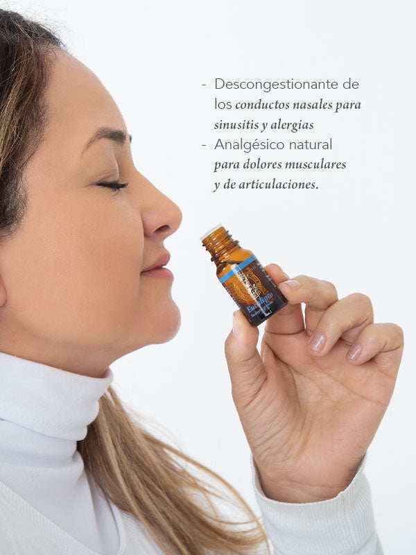 Eucalipto Aceite Esencial