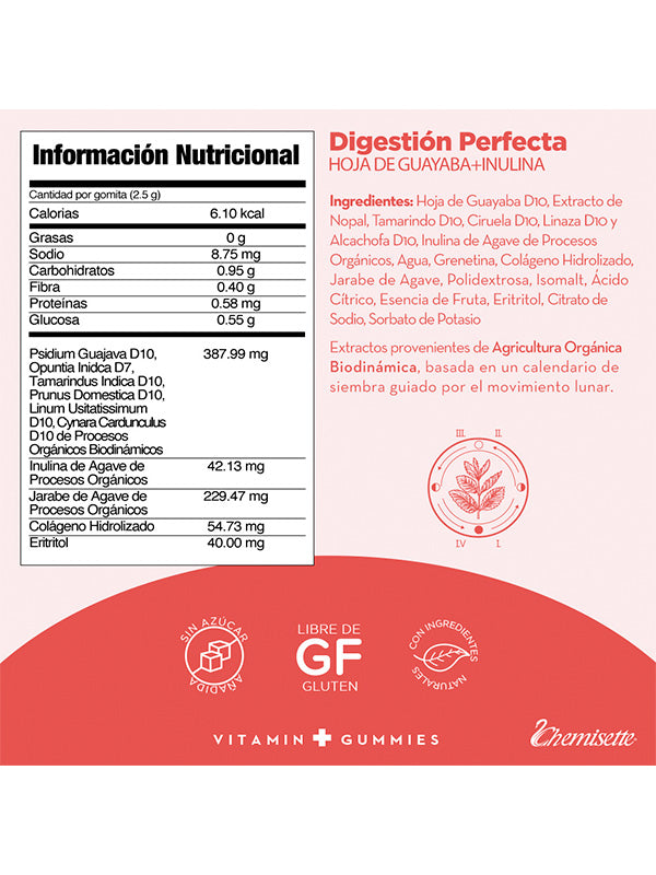 Vitamin G. Digestión Perfecta
