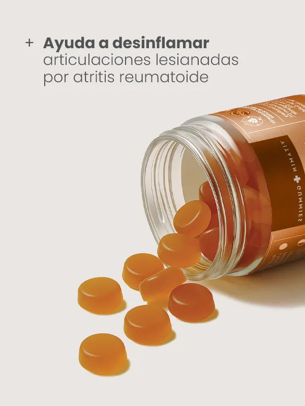 Vitamin G. Articulaciones
