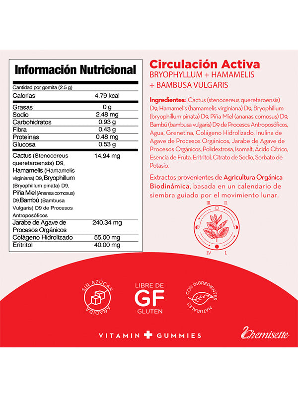 Vitamin G. Circulación Activa