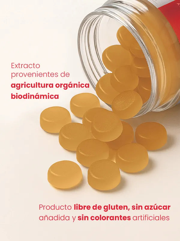 Vitamin G. Circulación Activa