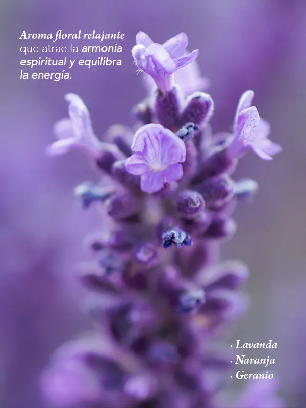 Sinergia Aceites Relajantes